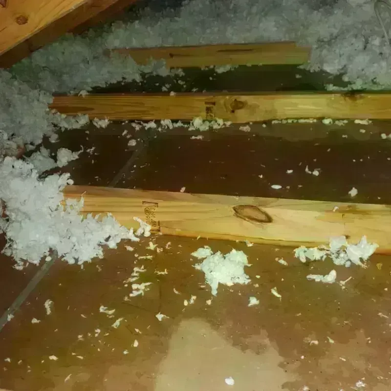 Attic Water Damage in Parkin, AR