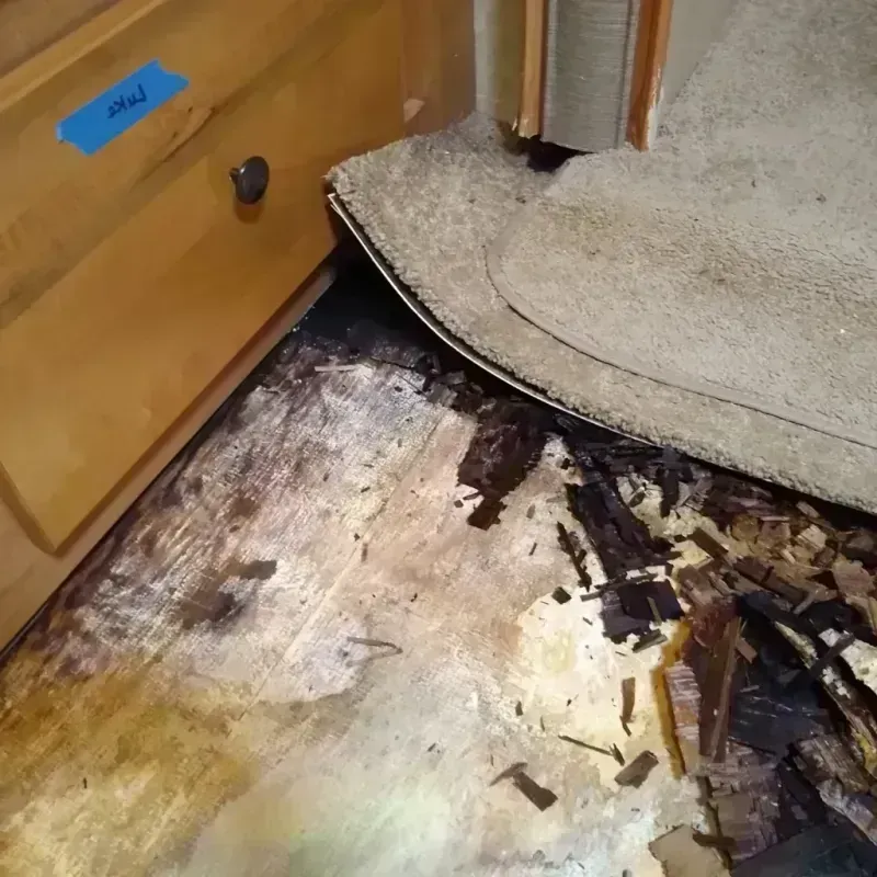 Wood Floor Water Damage in Parkin, AR